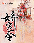 娇宠令 娇宠令